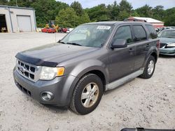 Ford Escape xlt salvage cars for sale: 2010 Ford Escape XLT