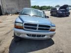 2003 Dodge Dakota Quad SLT