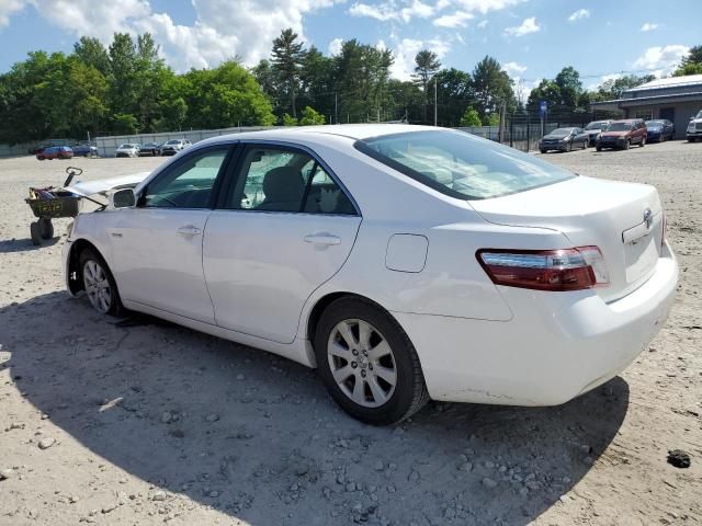 2009 Toyota Camry Hybrid