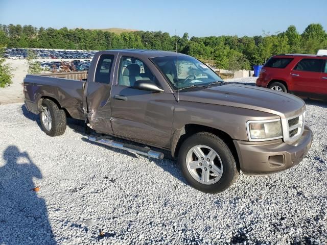 2010 Dodge Dakota SXT