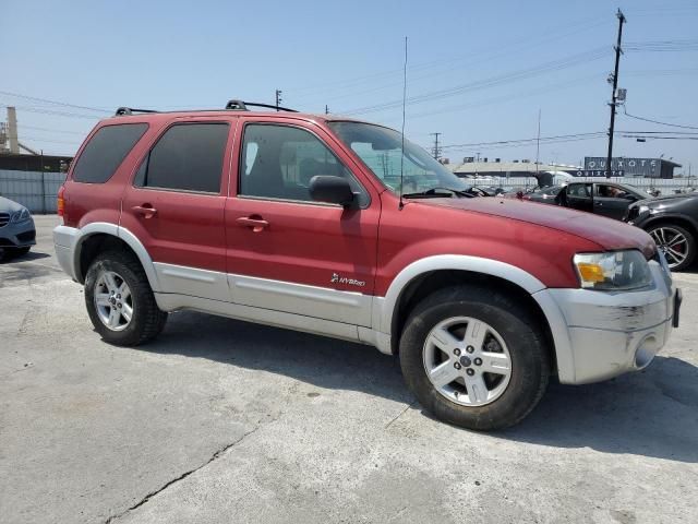 2006 Ford Escape HEV