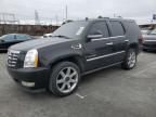 2008 Cadillac Escalade Luxury