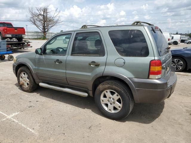 2006 Ford Escape XLT