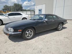 Salvage cars for sale at Apopka, FL auction: 1985 Jaguar XJS