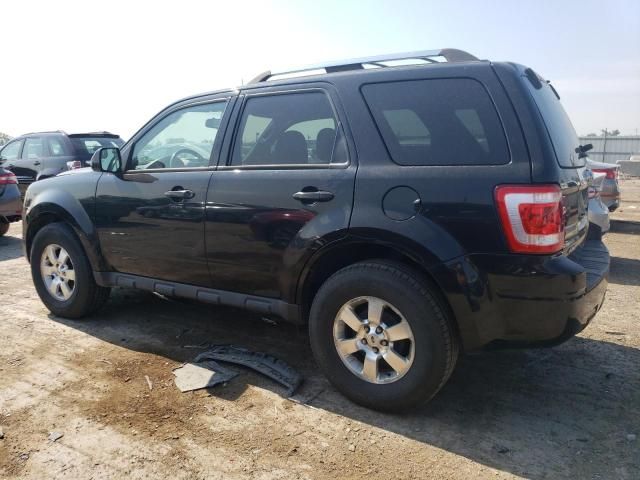 2011 Ford Escape Limited