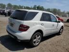 2008 Mercedes-Benz ML 350