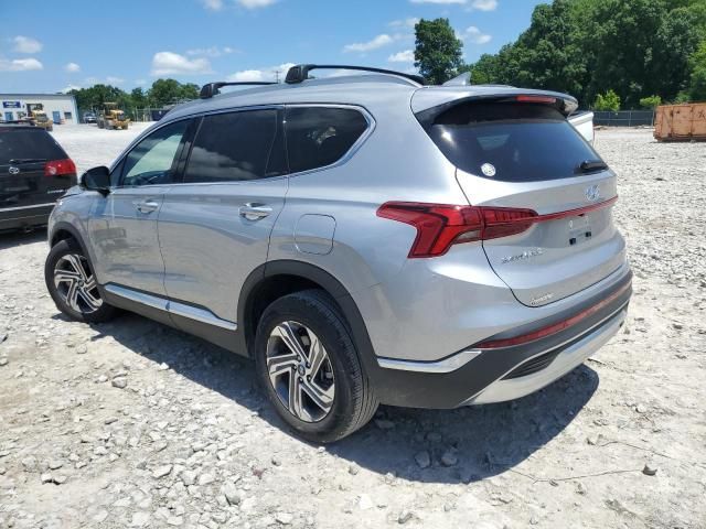 2023 Hyundai Santa FE SEL Premium