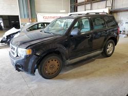 Salvage cars for sale at Eldridge, IA auction: 2011 Ford Escape XLT