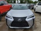 2024 Lexus UX 250H Premium