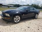 2009 Ford Mustang GT