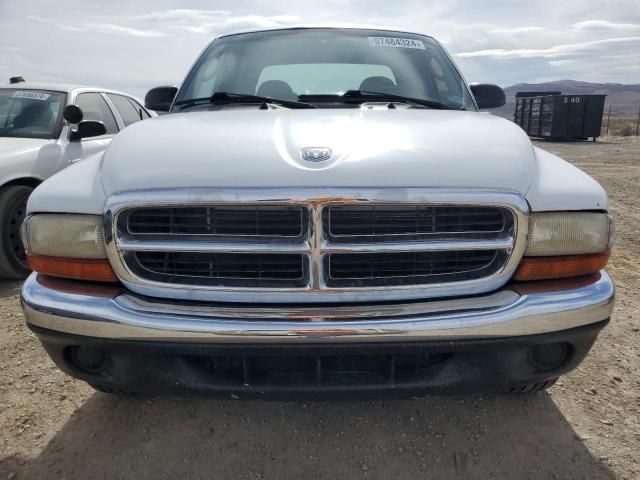 2001 Dodge Dakota Quattro