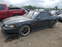 Ford salvage cars for sale: 2003 Ford Mustang GT