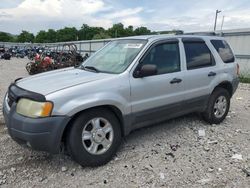 Salvage cars for sale at Lawrenceburg, KY auction: 2003 Ford Escape XLT
