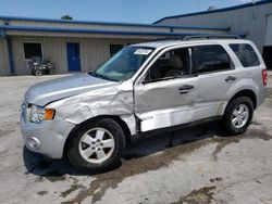 Salvage cars for sale at Fort Pierce, FL auction: 2008 Ford Escape XLT