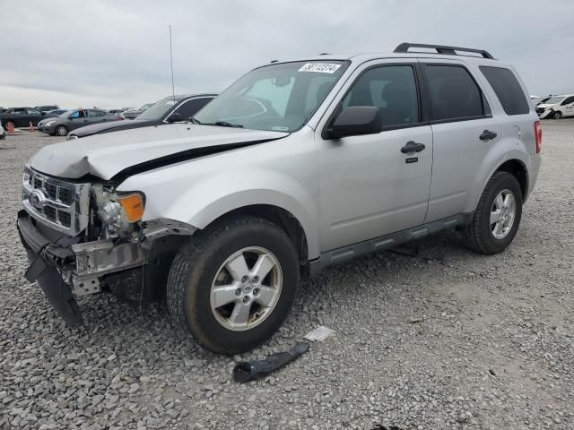 2011 Ford Escape XLT