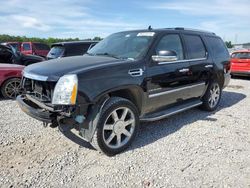 Salvage cars for sale at Memphis, TN auction: 2014 Cadillac Escalade Luxury
