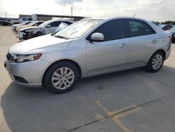 KIA Forte ex Vehiculos salvage en venta: 2013 KIA Forte EX