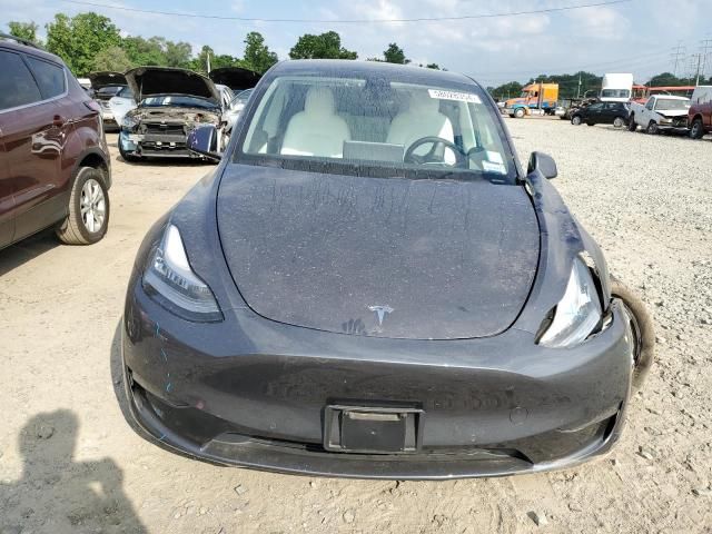 2020 Tesla Model Y