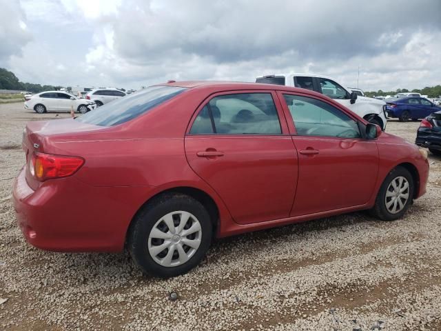 2009 Toyota Corolla Base