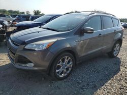 Salvage cars for sale at Baltimore, MD auction: 2013 Ford Escape SEL