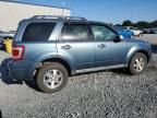 2010 Ford Escape Limited