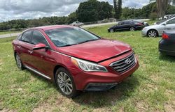 Hyundai Sonata Sport salvage cars for sale: 2015 Hyundai Sonata Sport