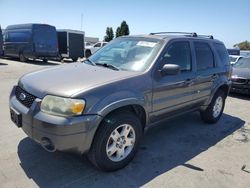 Ford Escape Limited Vehiculos salvage en venta: 2006 Ford Escape Limited