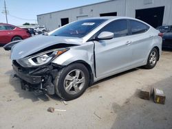 Salvage cars for sale at Jacksonville, FL auction: 2015 Hyundai Elantra SE