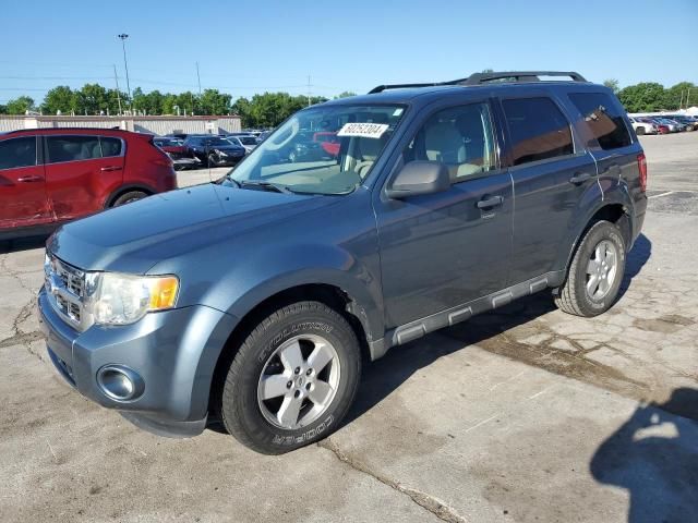 2010 Ford Escape XLT