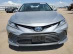 2024 Toyota Camry XLE