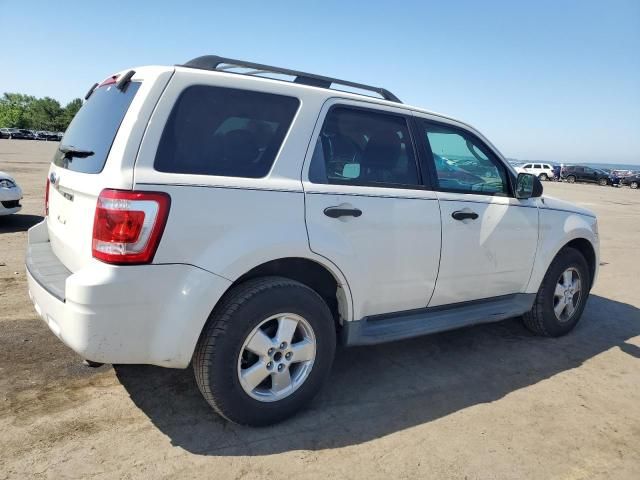 2009 Ford Escape XLT