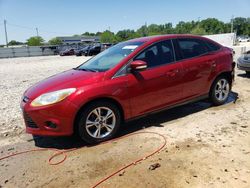 Salvage cars for sale at Louisville, KY auction: 2013 Ford Focus SE