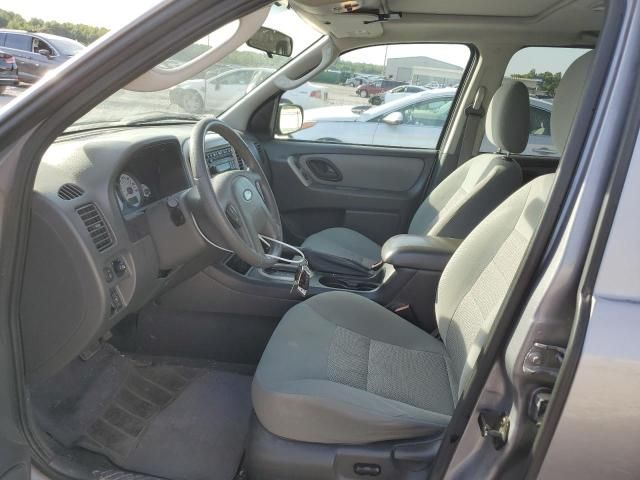 2007 Ford Escape XLT