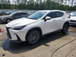 Salvage cars for sale at Harleyville, SC auction: 2024 Lexus NX 350 Luxury