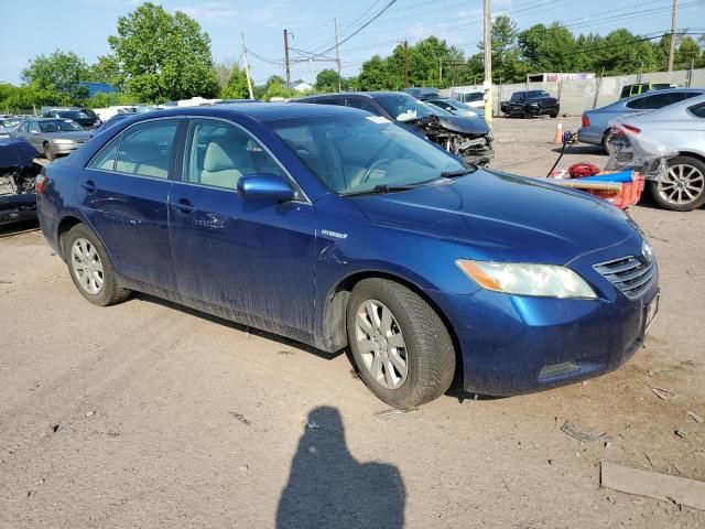 2008 Toyota Camry Hybrid