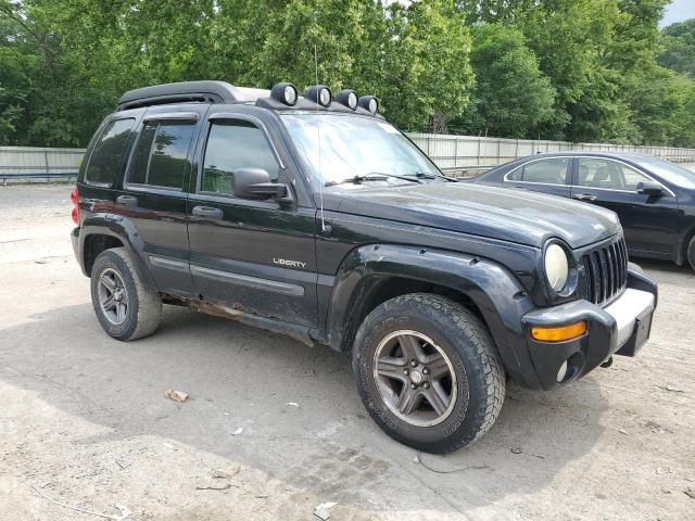 2004 Jeep Liberty Renegade