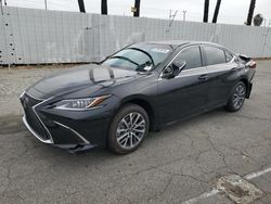 Salvage cars for sale at Van Nuys, CA auction: 2024 Lexus ES 350 Base