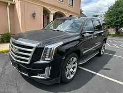 Cadillac salvage cars for sale: 2016 Cadillac Escalade Luxury