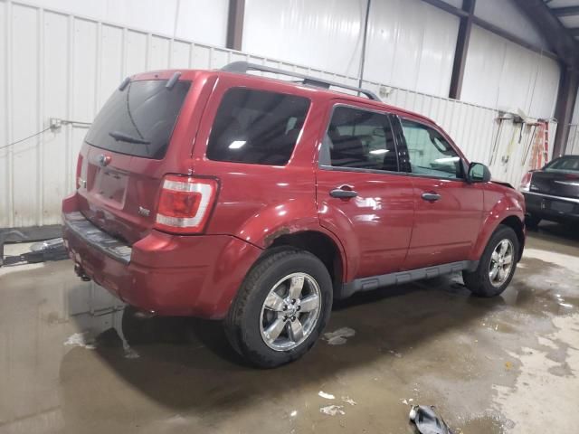 2012 Ford Escape XLT