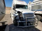 2019 Freightliner Cascadia 126