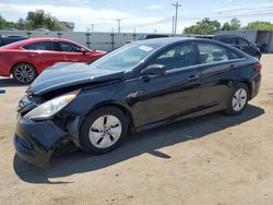 Hyundai Sonata GLS salvage cars for sale: 2014 Hyundai Sonata GLS