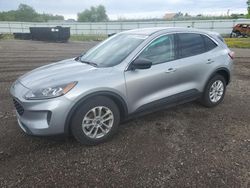 Salvage cars for sale at Columbia Station, OH auction: 2022 Ford Escape SE