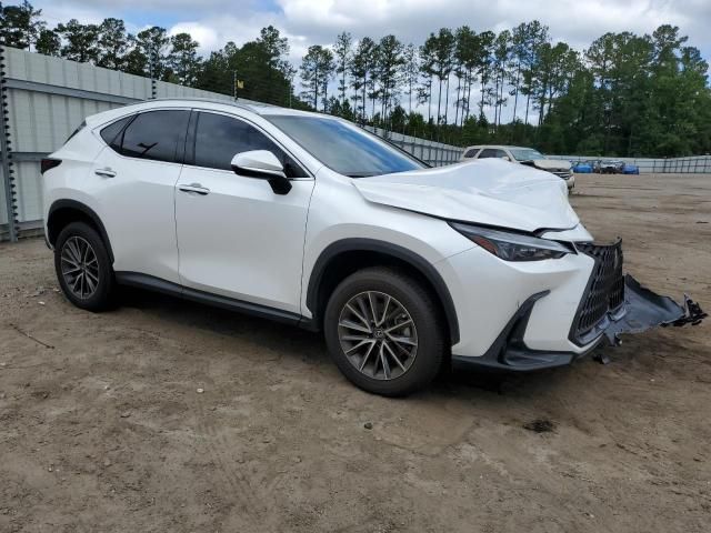 2023 Lexus NX 350