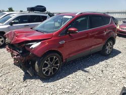 Salvage cars for sale from Copart Earlington, KY: 2014 Ford Escape Titanium