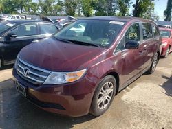 Salvage cars for sale at Bridgeton, MO auction: 2013 Honda Odyssey EXL