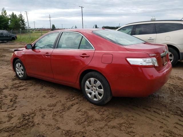 2011 Toyota Camry Hybrid