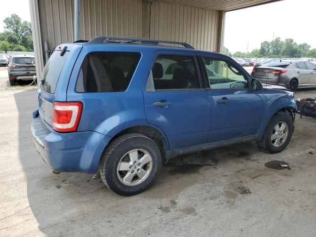 2009 Ford Escape XLT