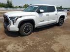 2024 Toyota Tundra Crewmax Limited