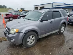 Ford salvage cars for sale: 2008 Ford Escape XLT