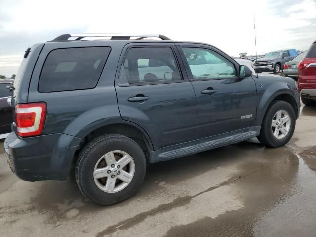 2008 Ford Escape HEV